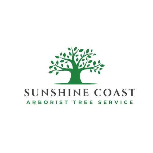 Tree Lopping Sunshine Coast